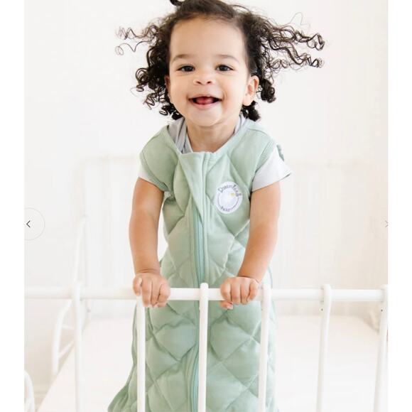 Dreamland Baby XL 24-36 Month Blue Organic Cotton Weighted Toddler Sleep Sack - Picture 2 of 8